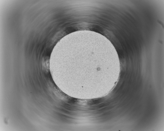 X0000102300190200808152027