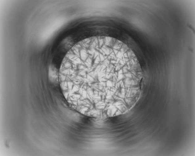 X0000102300191200808152027