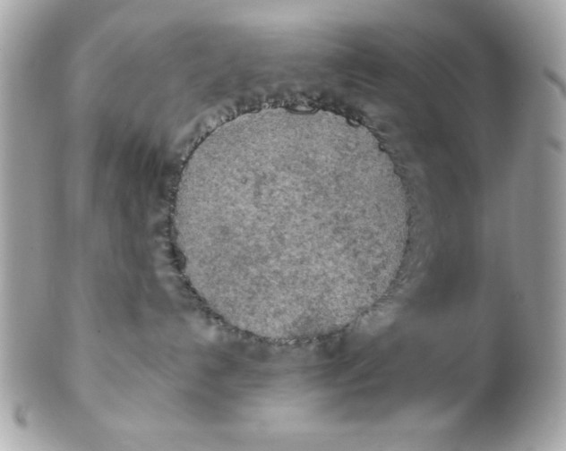 X0000102300192200808152027
