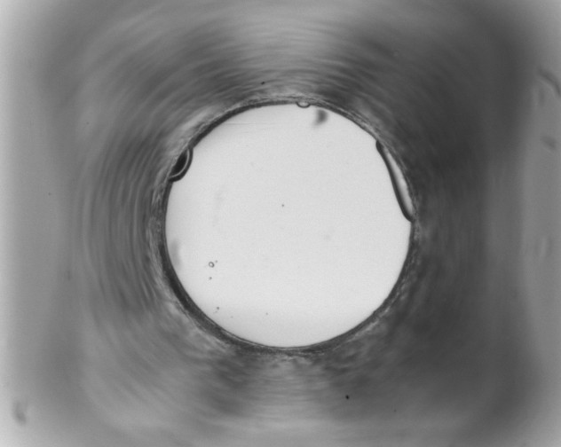 X0000102300193200808152026