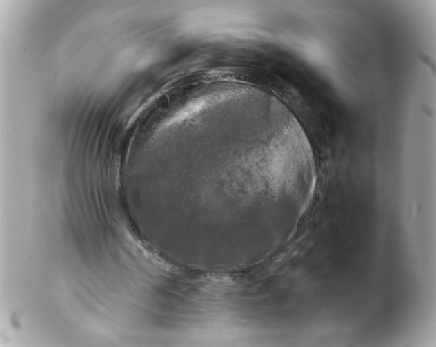 X0000102300194200808152026