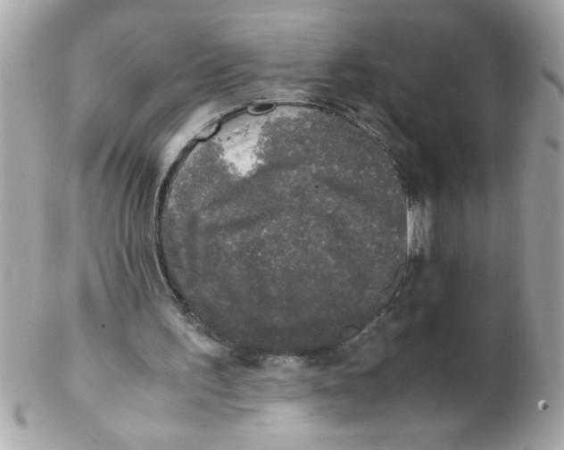 X0000102300195200808152026