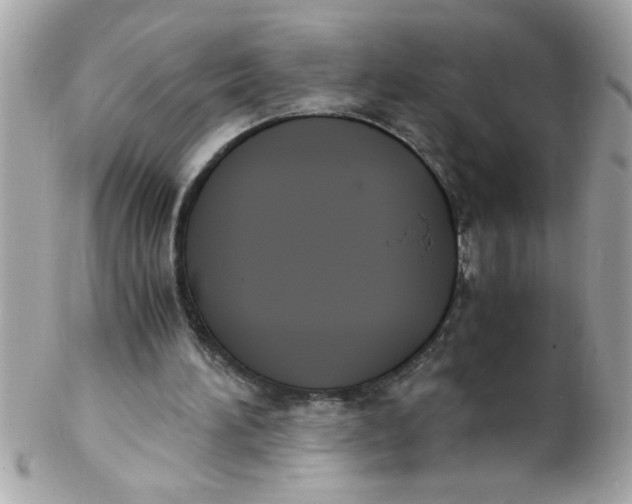 X0000102300196200808152026