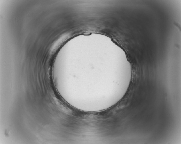 X0000102300197200808152026