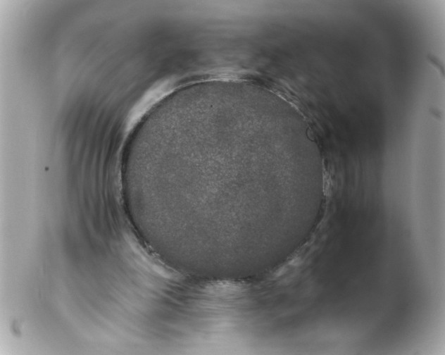 X0000102300198200808152026