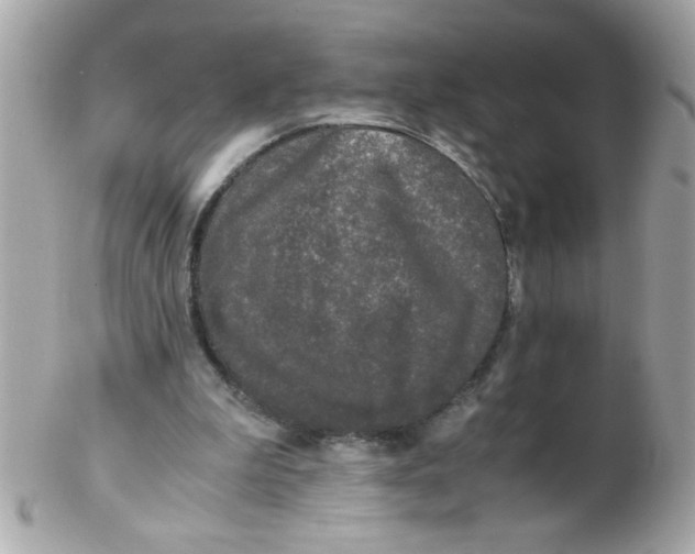 X0000102300199200808152026