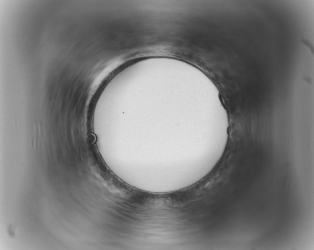 X0000102300200200808152026