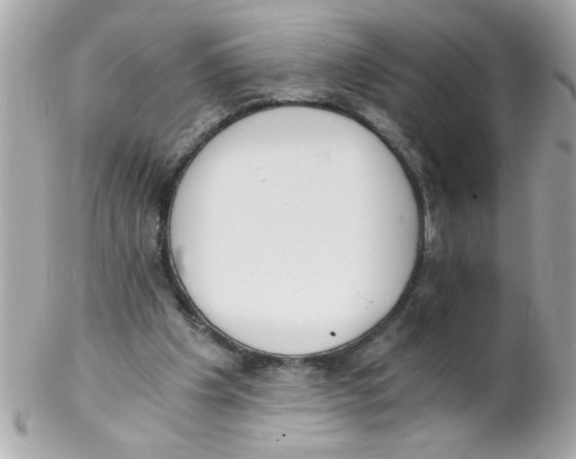 X0000102300201200808152026