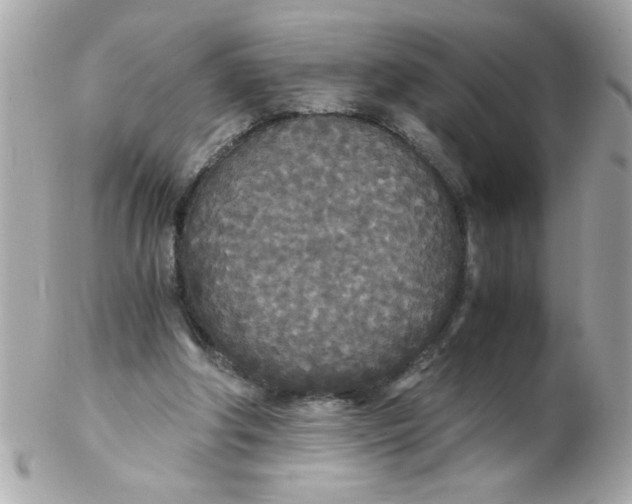 X0000102300202200808152026