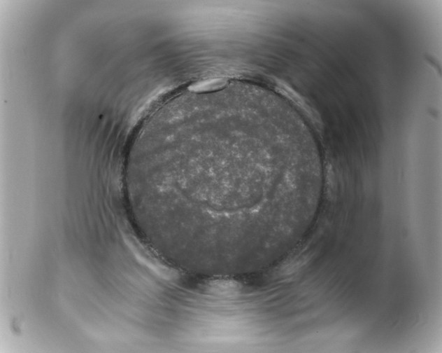 X0000102300203200808152026