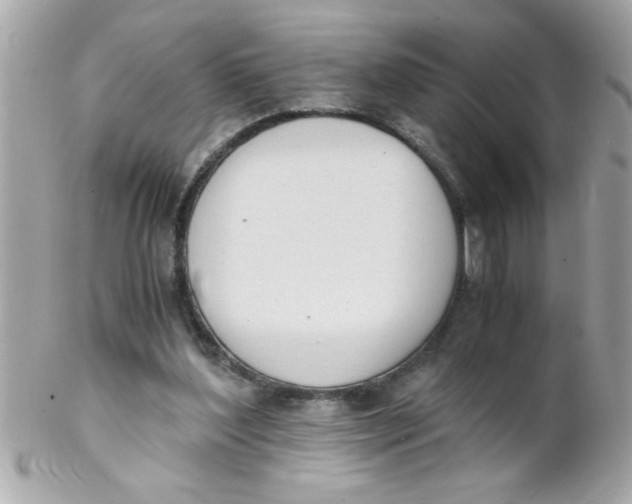 X0000102300204200808152026