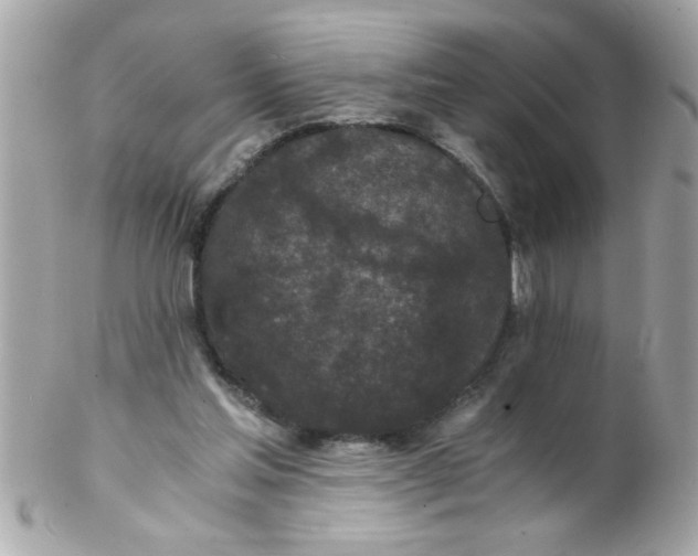 X0000102300205200808152026