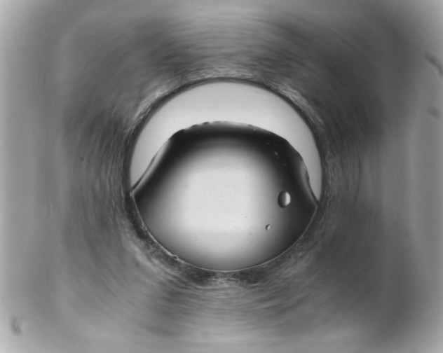 X0000102300207200808152026