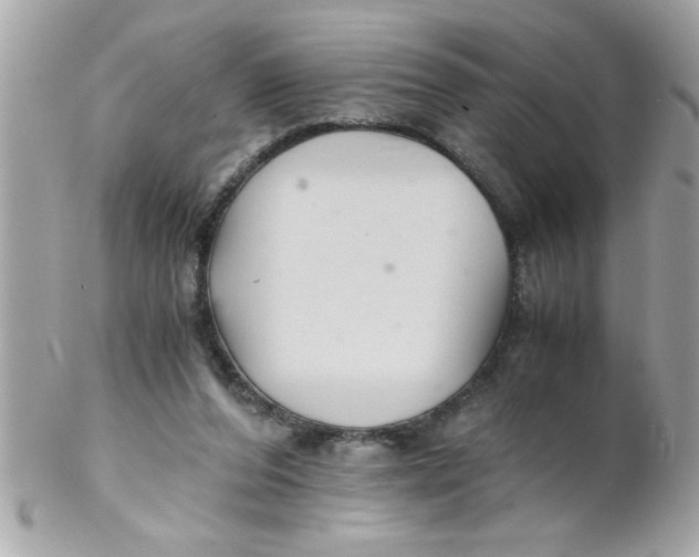 X0000102300208200808152026