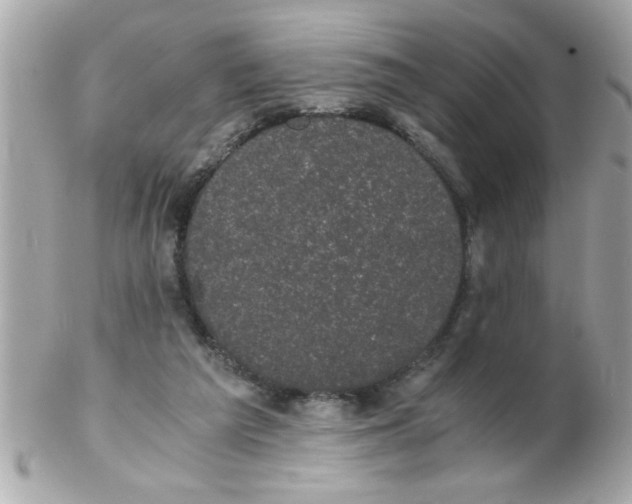 X0000102300209200808152026