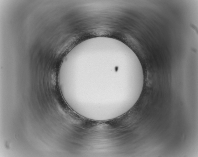 X0000102300210200808152026