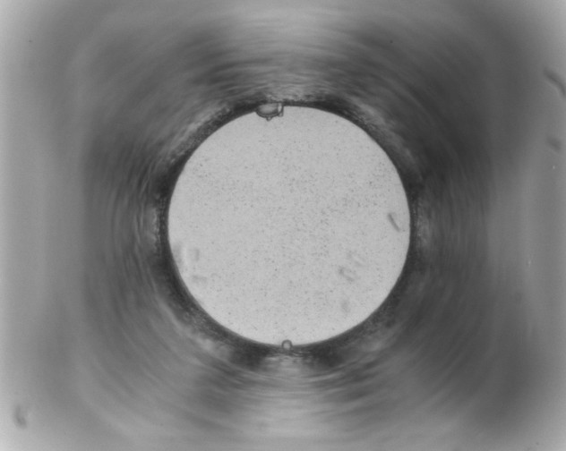 X0000102300211200808152026