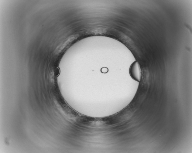 X0000102300212200808152026