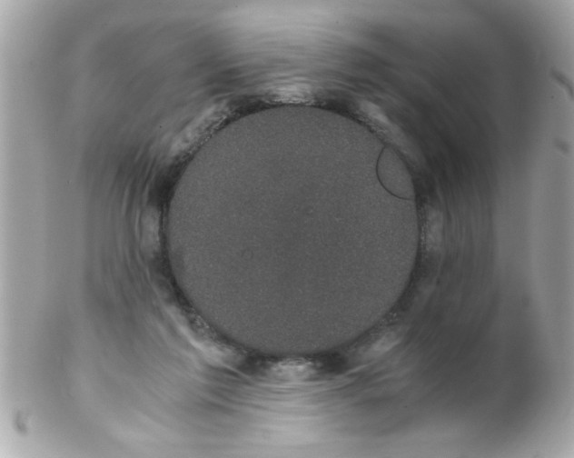X0000102300213200808152026