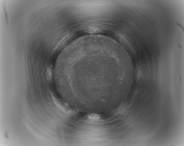 X0000102300214200808152025