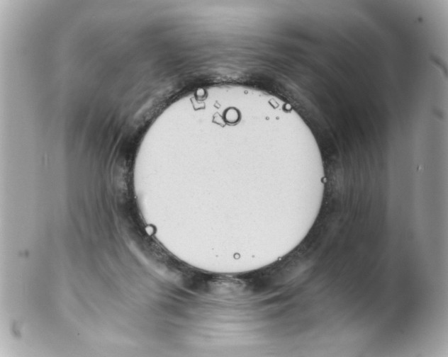 X0000102300215200808152025