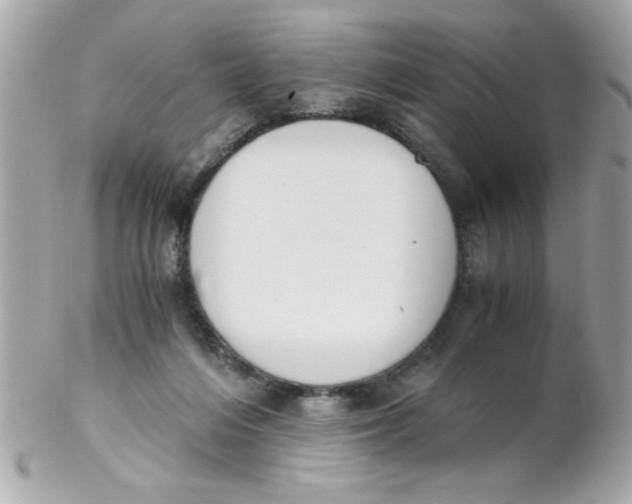X0000102300216200808152025
