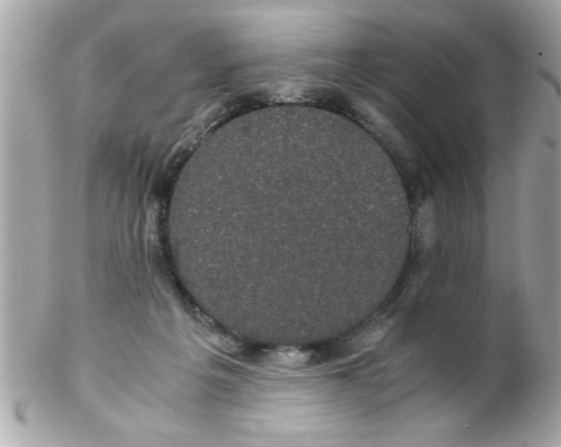 X0000102300217200808152025