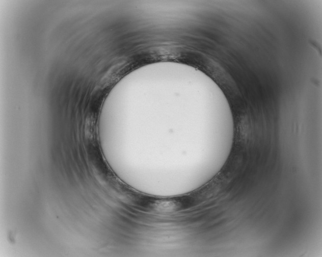 X0000102300218200808152025