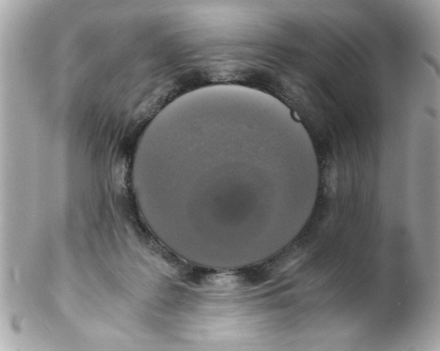 X0000102300219200808152025