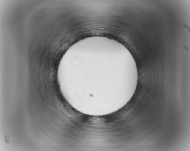 X0000102300221200808152025