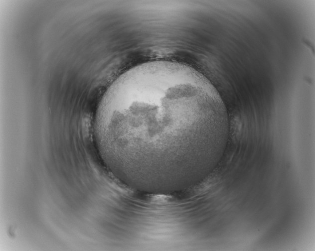 X0000102300222200808152025