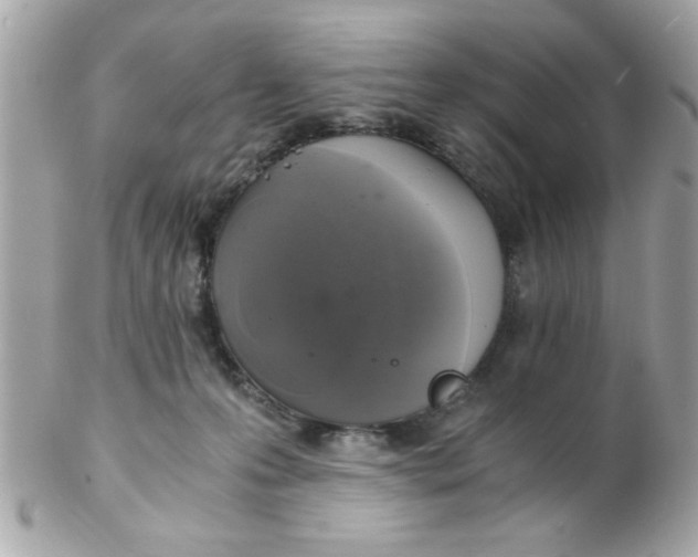 X0000102300223200808152025
