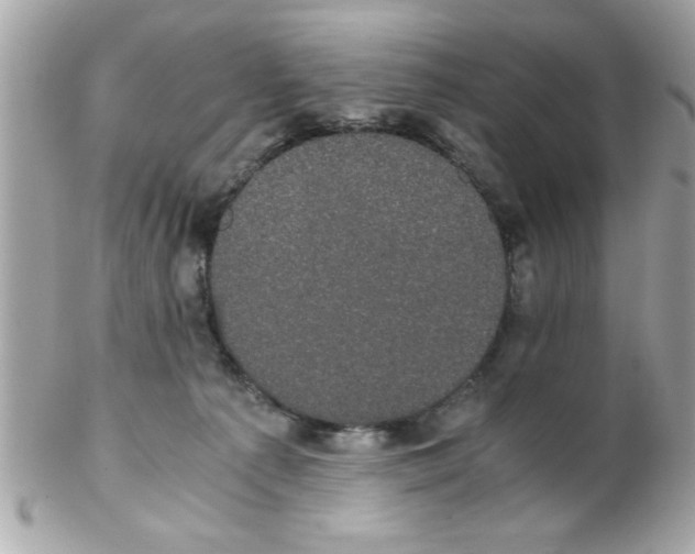 X0000102300225200808152025