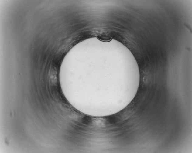 X0000102300226200808152025