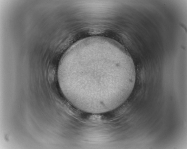 X0000102300227200808152025