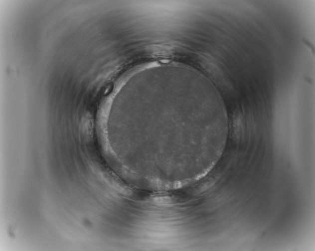 X0000102300228200808152025