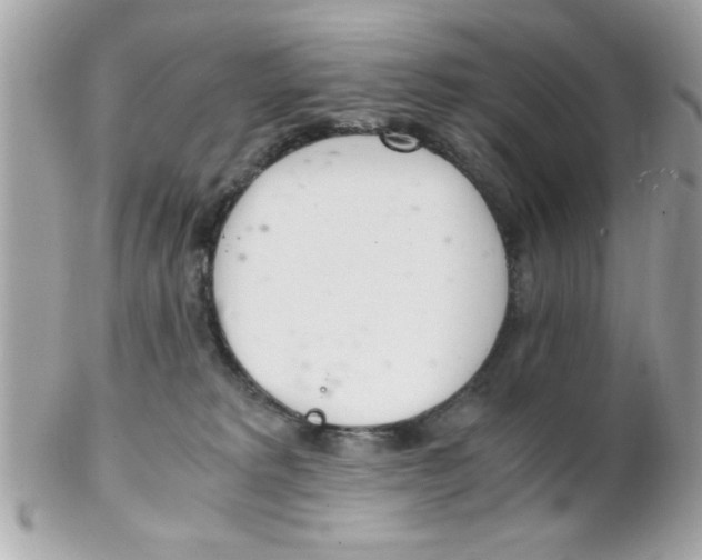 X0000102300229200808152025