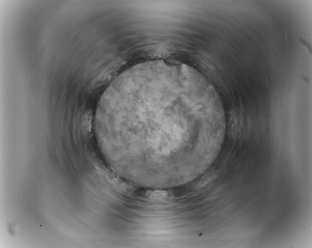 X0000102300230200808152025