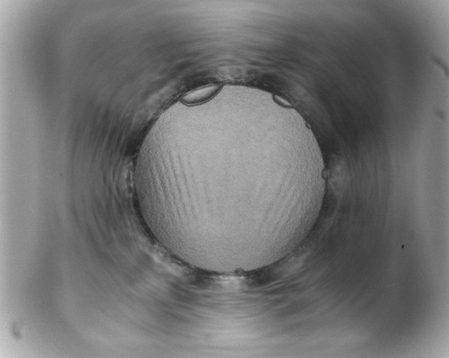X0000102300233200808152025