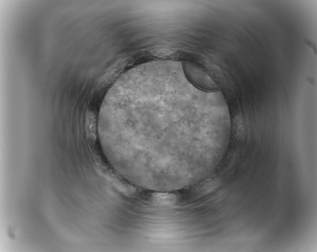 X0000102300234200808152025