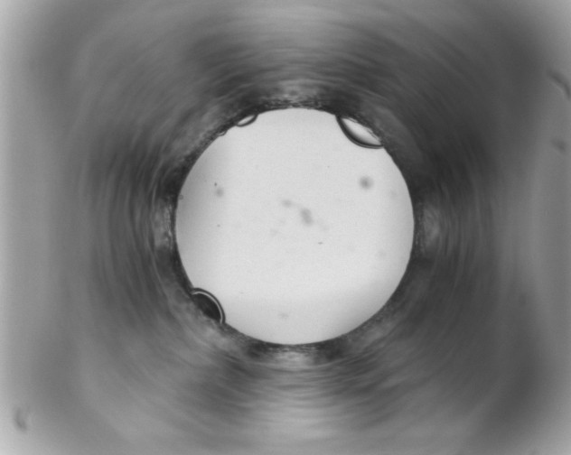 X0000102300236200808152025