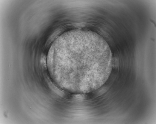 X0000102300238200808152025