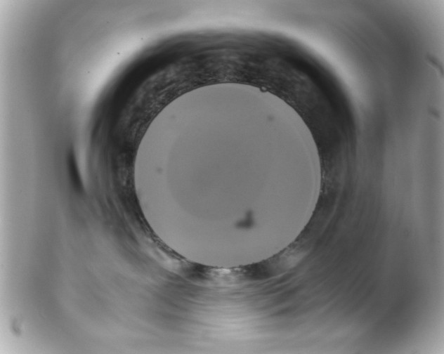 X0000102300239200808152025