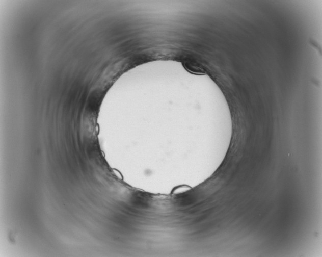 X0000102300240200808152025