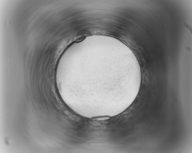 X0000102300241200808152024