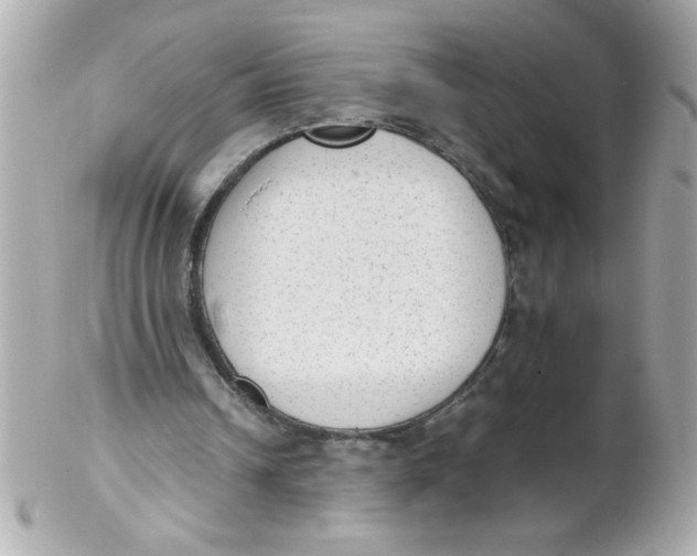 X0000102300242200808152024