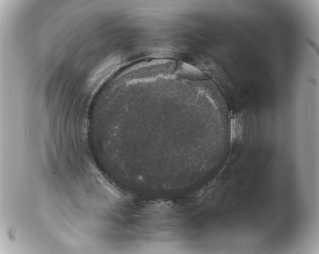 X0000102300243200808152024