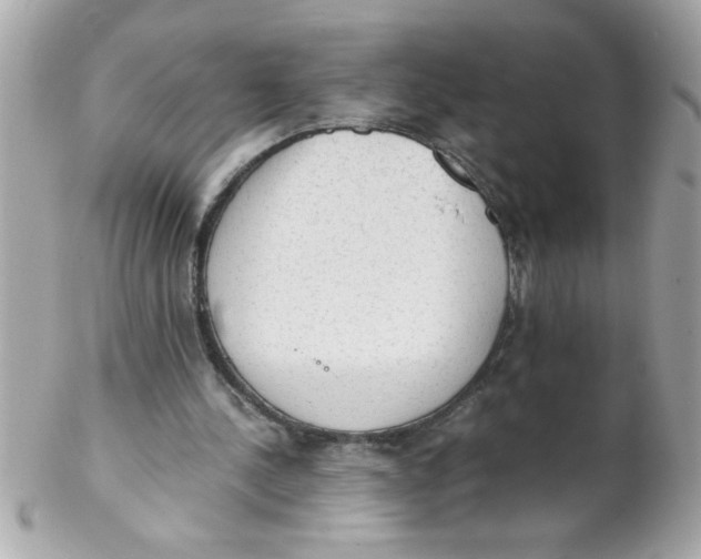 X0000102300244200808152024