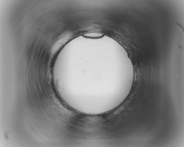 X0000102300245200808152024