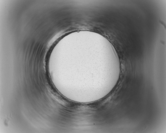 X0000102300246200808152024